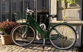 66 Guldsmeden